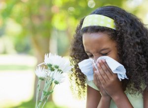 Pollen allergy sneezing