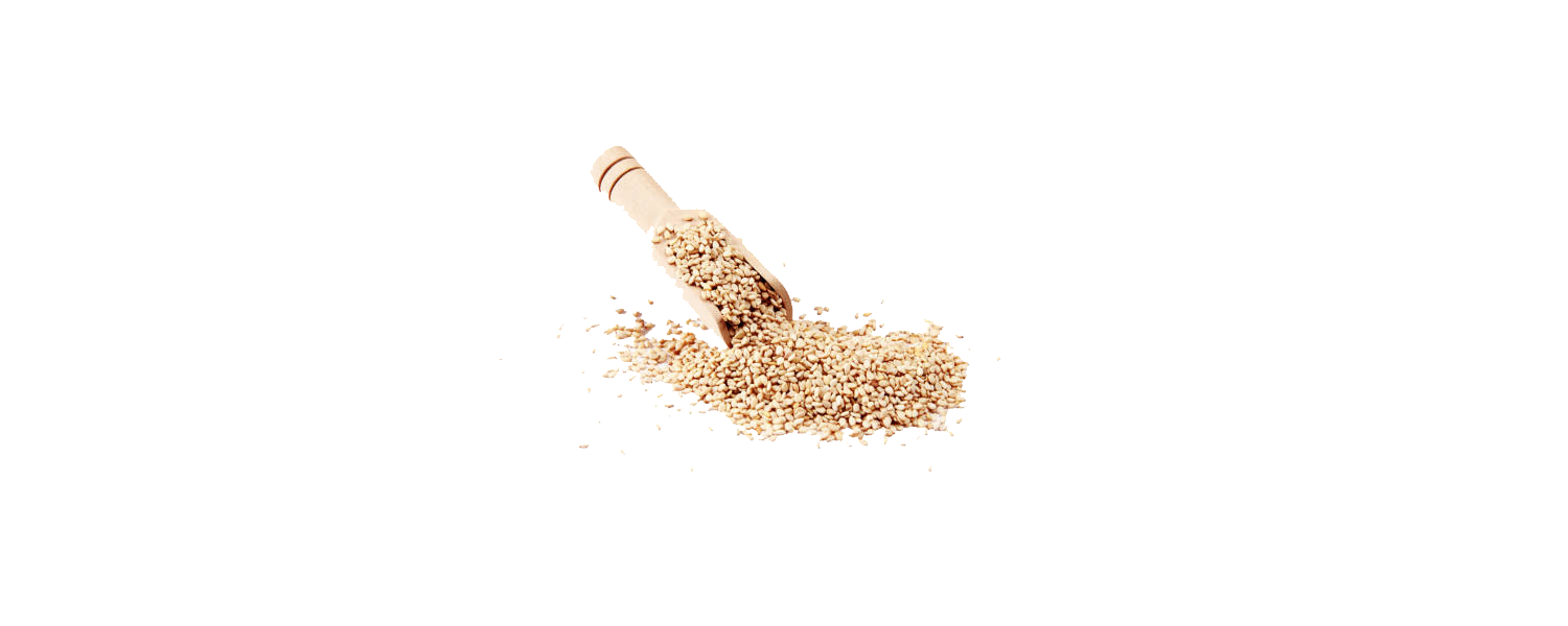 Sesame Seed Allergy