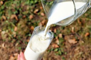 cow’s milk allergy