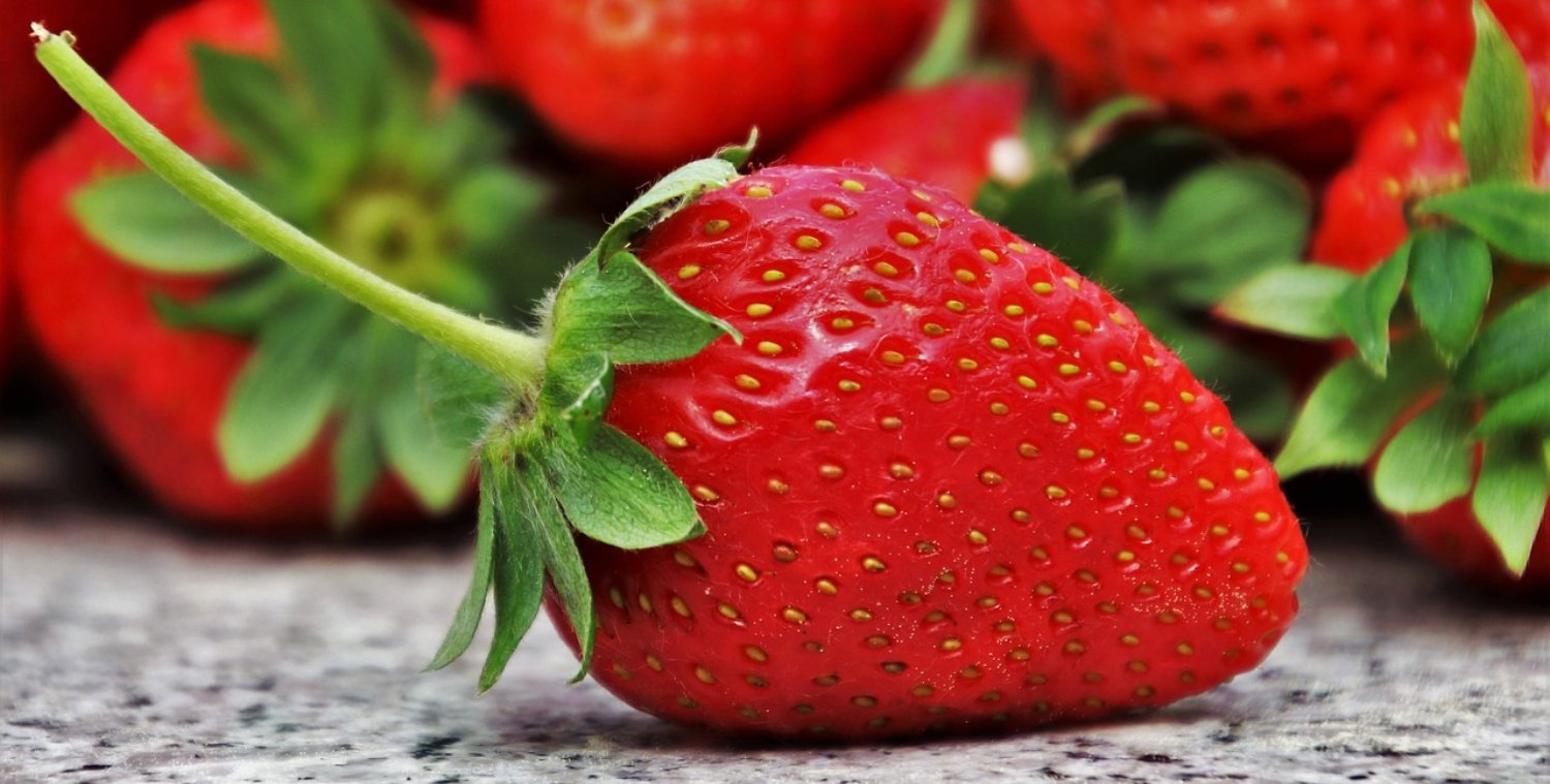 Strawberry Allergy